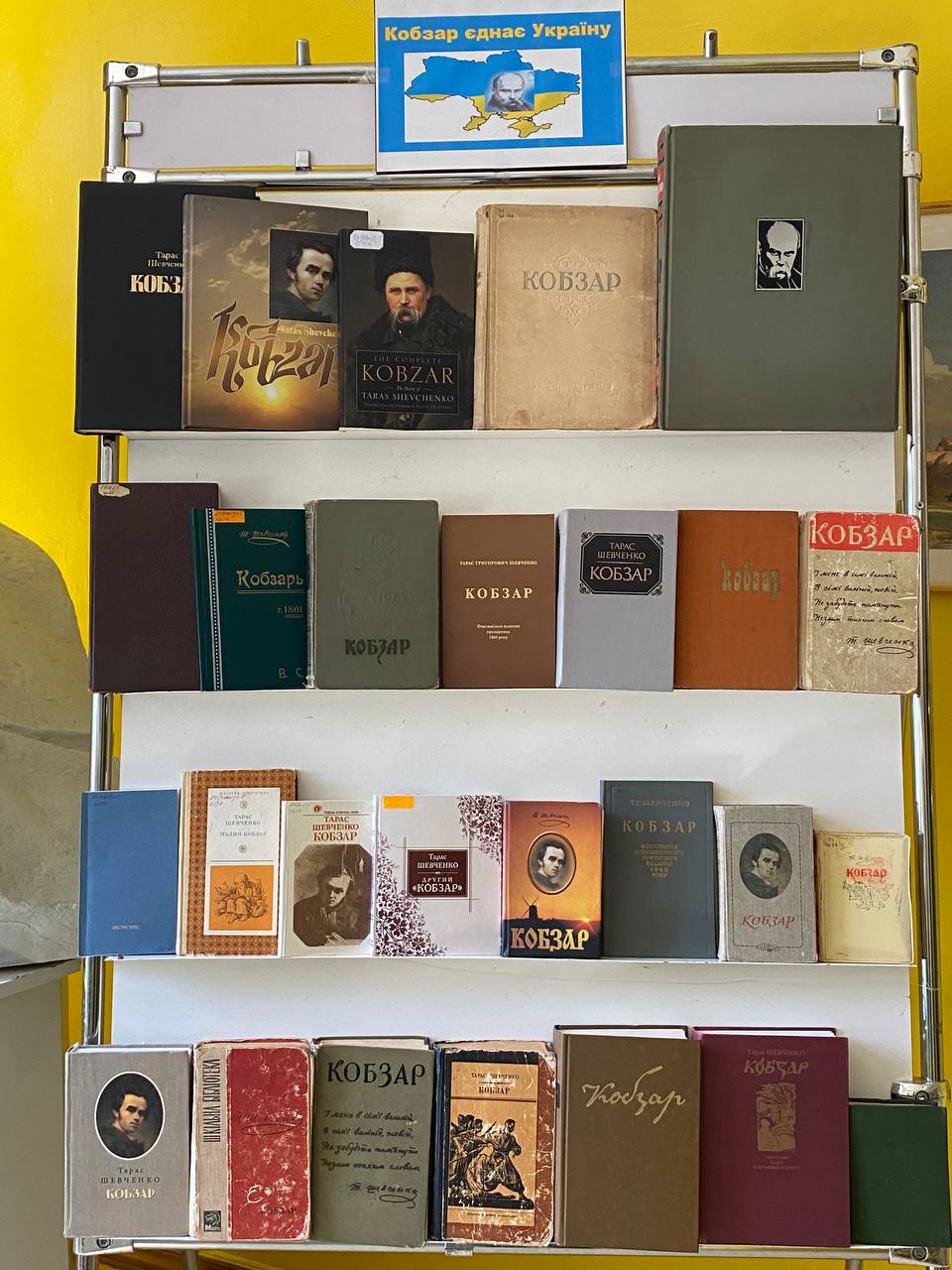 photo 5294300199331239075 y