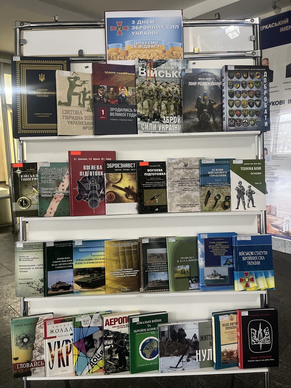 photo 5303064591199833349 y