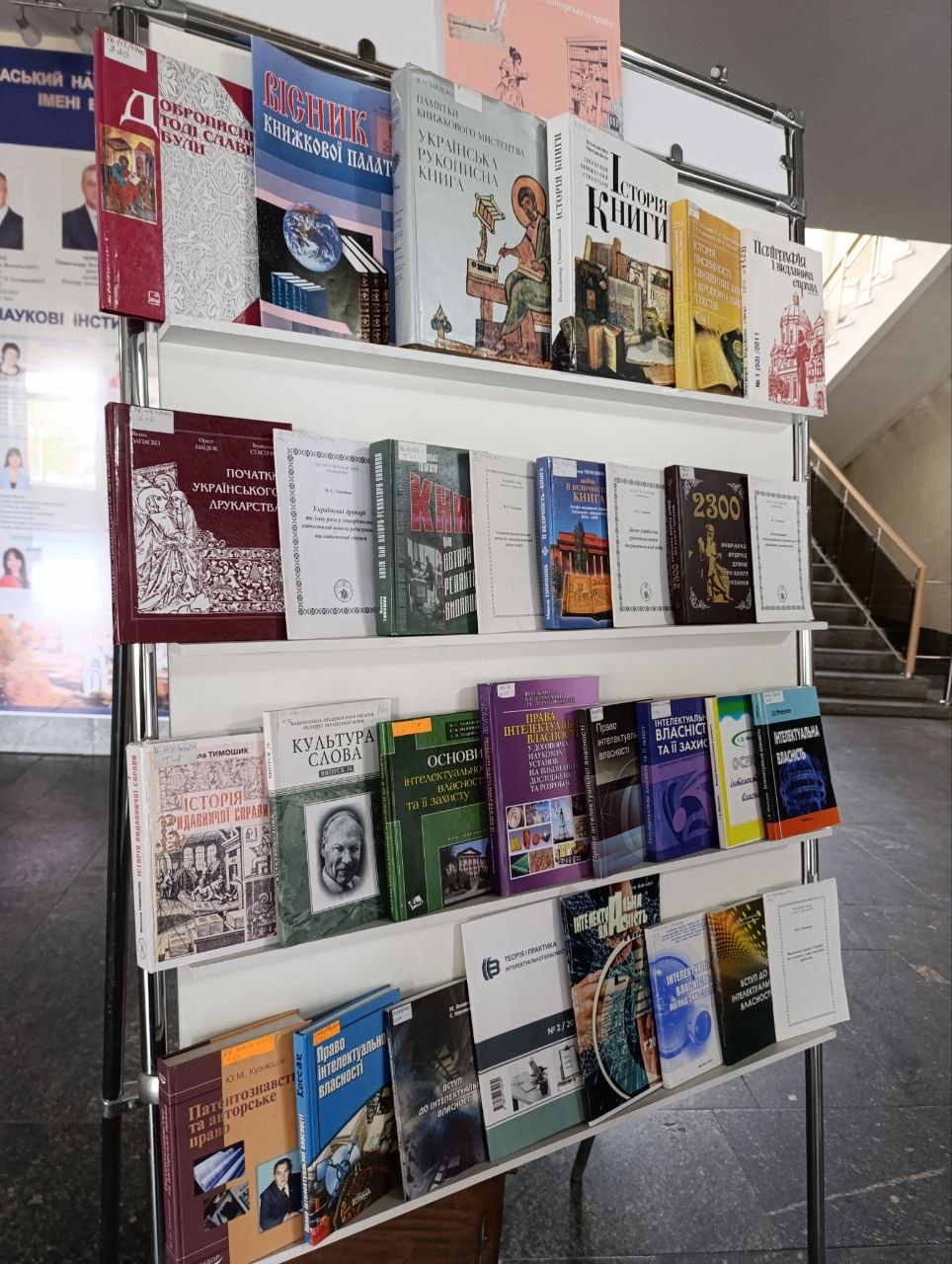 photo 5427316216956655228 y