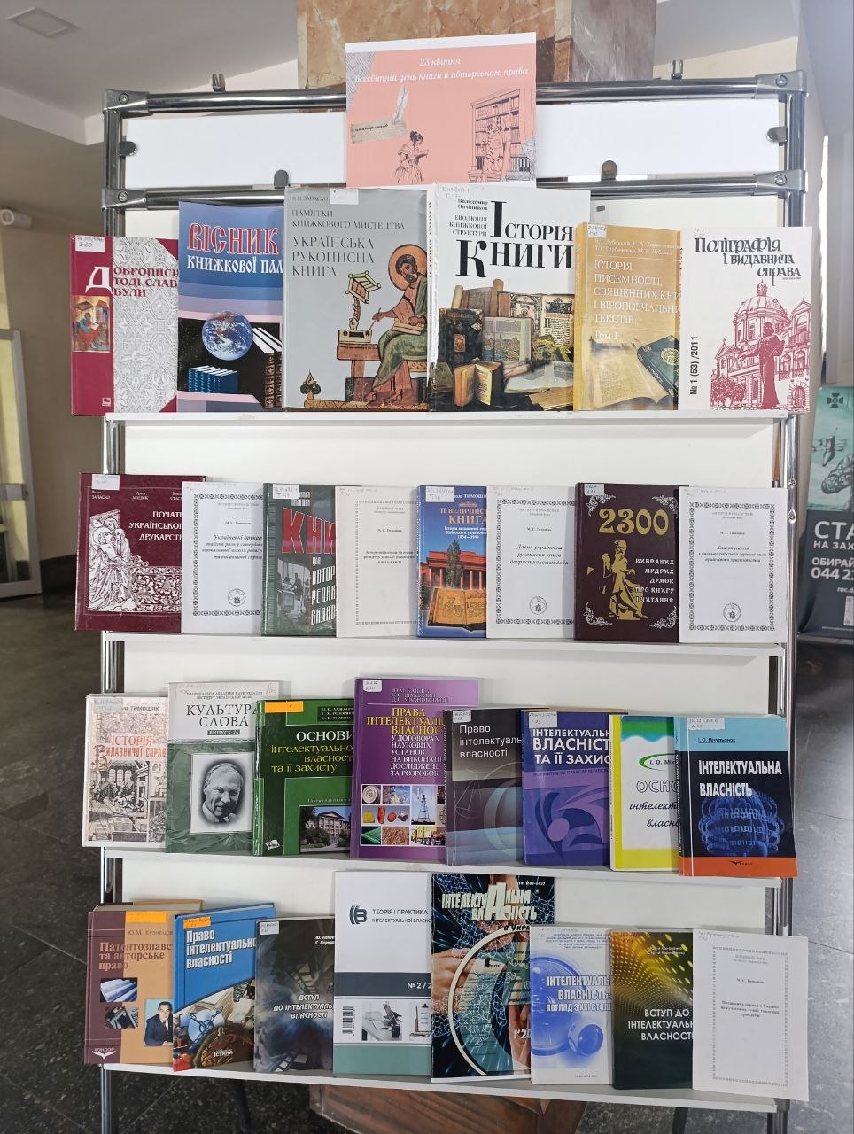 photo 5427316216956655230 y